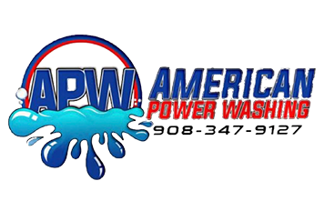 American Power Washing Logo